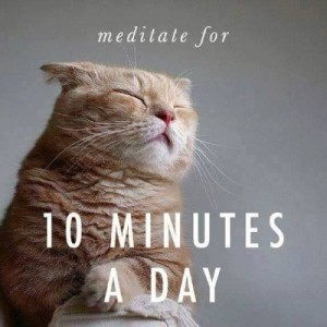 Mediteeri 10 minutit päevas kassipilt